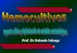 Prof. Dr.Rolando Soloaga. HEMOCULTIVOS EN LA ERA DE LA CRISIS ECONOMICA ECONOMICA CUESTIONES A RESOLVER PEDIDO RACIONAL DE HEMOCULTIVOS COMBINACION DE
