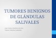 TUMORES BENIGNOS DE GLÁNDULAS SALIVALES Juan Carlos Martínez de Uña Vianey Ordoñez Labastida
