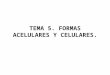 TEMA 5. FORMAS ACELULARES Y CELULARES.. Formas acelulares.  Se denominan formas acelulares a aquellas partículas que no tienen organización celular y