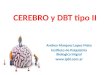 CEREBRO y DBT tipo II Andrea Marquez Lopez Mato Instituto de Psiquiatria Biologica Intgral 