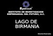 LAGO DE BIRMANIA INSTITUTO DE INVESTIGACION EMPRESARIAL DEL FUTURO, A.C. Derechos Reservados