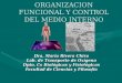 ORGANIZACION FUNCIONAL Y CONTROL DEL MEDIO INTERNO Dra. María Rivera Chira Lab. de Transporte de Oxígeno Dpto. Cs Biológicas y Fisiológicas Facultad de