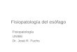 Fisiopatología del esófago Fisiopatología UNIBE Dr. José R. Fuchs