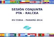 SESIÓN CONJUNTA PTA - RALCEA XV CODIA – PANAMÁ 2014