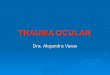 TRAUMA OCULAR Dra. Alejandra Varas. TRAUMAS DE PARPADOS  La lesión más frecuente frente al trauma frontal o palpebral contusa es el Hematoma palpebral