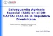 Salvaguardia Agrícola Especial (SAE) en el DR- CAFTA: caso de la República Dominicana Santo Domingo, República Dominicana 2 Febrero, 2009 Juan Luis Zúñiga