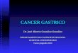 CANCER GASTRICO Dr. José Alberto González-González DEPARTAMENTO DE GASTROENTEROLOGIA HOSPITAL UNIVERSITARIO Curso pregrado 2013