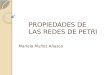 PROPIEDADES DE LAS REDES DE PETRI Mariela Muñoz Añasco