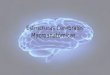 Estructuras Cerebrales Macroanatómicas.. Principales estructuras cerebrales