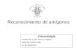 Reconocimiento de antígenos Inmunología Profesora. Q BP Nancy Rodiles Valentín Urban Ortiz 2o de Medicina
