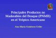Principales Productos no Maderables del Bosque (PNMB) en el Trópico Americano Ana María Gutiérrez Uribe