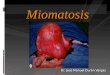 Dr. José Manuel Durán Vargas Miomatosis. Mioma Uterino Los miomas o leiomiomas corresponden a una neoplasia benigna, constituida por células de músculo