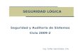 SEGURIDAD LÓGICA Ing. Yolfer Hernández, CIA Seguridad y Auditoria de Sistemas Ciclo 2009-2