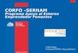 CORFO –SERNAM Programa Apoyo al Entorno Emprendedor Femenino Cristina Rojas Profesional PMTJH y Emprendimiento