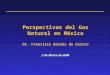 Perspectivas del Gas Natural en México Dr. Francisco Barnés de Castro 2 de Marzo de 2004