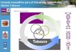 Consejo Consultivo para el Desarrollo Sustentable Núcleo Tabasco Informe del Núcleo