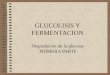 GLUCOLISIS Y FERMENTACION Degradacion de la glucosa: PRIMERA PARTE