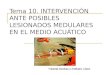 Tema 10. INTERVENCIÓN ANTE POSIBLES LESIONADOS MEDULARES EN EL MEDIO ACUÁTICO Yolanda Alcobas y Estíbaliz López