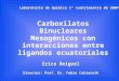 Carboxilatos Binucleares Mesogénicos con interacciones entre ligandos ecuatoriales Erica Beiguel Director: Prof. Dr. Fabio Cukiernik Laboratorio de Química