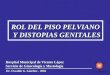ROL DEL PISO PELVIANO Y DISTOPIAS GENITALES Y DISTOPIAS GENITALES Dr. Osvaldo G. Sánchez - 2004 Dr. Osvaldo G. Sánchez - 2004 Hospital Municipal de Vicente
