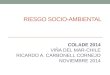 RIESGO SOCIO-AMBIENTAL COLADE 2014 VIÑA DEL MAR-CHILE RICARDO A. CARBONELL CORNEJO NOVIEMBRE 2014