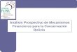 1 Análisis Prospectivo de Mecanismos Financieros para la Conservación Bolivia