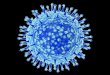 GRIPE A H1N1 Qu© debo hacer para prevenir la Gripe? GRIPE A H1N1