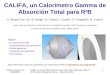 H©ctor Alvarez Pol 13/09/2005 Califa, un Calor­metro Gamma de Absorci³n Total para R3B XXX Reuni³n Bienal de Fisica -- Ourense 2005 1 CALIFA, un Calor­metro
