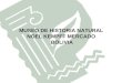 MUSEO DE HISTORIA NATURAL NOEL KEMPFF MERCADO BOLIVIA