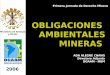 Ministerio de Energía y Minas Dirección General de Asuntos Ambientales Mineros OBLIGACIONES AMBIENTALES MINERAS ADA ALEGRE CHANG Directora Adjunta DGAAM