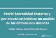 Morbi-Mortalidad Materna y por aborto en México: un análisis de las últimas dos décadas Raffaela Schiavon, Gerardo Polo, Erika Troncoso COLMEX, 12 de enero