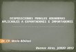 Dr. CP. Mario Bibiloni DISPOSICIONES PENALES ADUANERAS APLICABLES A EXPORTADORES E IMPORTADORES Buenos Aires, JUNIO 2013
