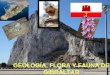 Geología, flora y fauna de Gibraltar GEOLOGÍA, FLORA Y FAUNA DE GIBRALTAR