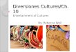 Diversiones Cultures/Ch. 10 Entertainment of Cultures By: Rebecca Wall