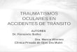 TRAUMATISMOS OCULARES EN ACCIDENTES DE TRÁNSITO AUTORES Dr. Fernando Ibañez Dra. Marcia Wiernes Clínica Privada de Ojos Dra Mulet