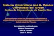 Sistema Universitario Ana G. Méndez Universidad del Turabo Centro de Convenciones de Puerto Rico Percepciones sobre las destrezas en el manejo y utilización
