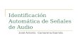 Identificación Automática de Señales de Audio José Antonio Camarena Ibarrola