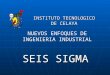SEIS SIGMA INSTITUTO TECNOLOGICO DE CELAYA NUEVOS ENFOQUES DE INGENIERIA INDUSTRIAL