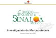 Investigación de Mercadotecnia Mocorito Sinaloa, Marzo 2002