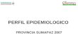 PERFIL EPIDEMIOLOGICO PROVINCIA SUMAPAZ 2007. DEMOGRAFIA