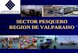 SECTOR PESQUERO REGION DE VALPARAISO. Sector Pesquero Artesanal