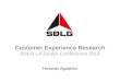 Fernando Agostinho Customer Experience Research SDLG LA Dealer Conference 2013