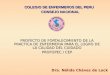 COLEGIO DE ENFERMEROS DEL PERU PROYECTO DE FORTALECIMIENTO DE LA PRACTICA DE ENFERMERIA PARA EL LOGRO DE LA CALIDAD DEL CUIDADO PROFOPEC / CEP Dra. Nélida