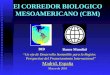 El CORREDOR BIOLOGICO MESOAMERICANO (CBM) Madrid, España Marzo de 2001 BID Banco Mundial “U n eje de Desarrollo Sostenible para la Región: Perspectiva