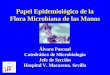 Papel Epidemiológico de la Flora Microbiana de las Manos Álvaro Pascual Catedrático de Microbiología Jefe de Sección Hospital V. Macarena. Sevilla