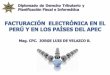 TEMARIO  Introducción  Aspectos conceptuales sobre las facturas electrónicas  Experiencias internacionales o APEC o Chile o México o Brasil  Factura