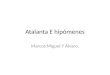 Atalanta E hipómenes Marcos Miguel Y Álvaro.. Atanta e Hipómenes Atanta, jóven con dos cualidades, muy importantes, la velocidad y que era hermosa. Consultó