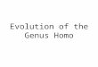 Evolution of the Genus Homo Evolutionary Turning Points Bipedismo: definición de función homínidos fabricación de piedra herramientas – carne comer –