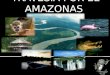 TRAVESIA POR EL AMAZONAS. ADRIANA RODRIGUEZ LUIS EDUARDO PARRADO AUDREY HERNANNDEZ