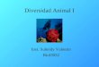 Diversidad Animal I Inst. Suheidy Valentin Biol3052